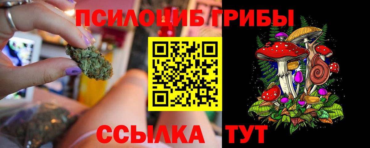 Псилоцибиновые грибы Cubensis Шелехов