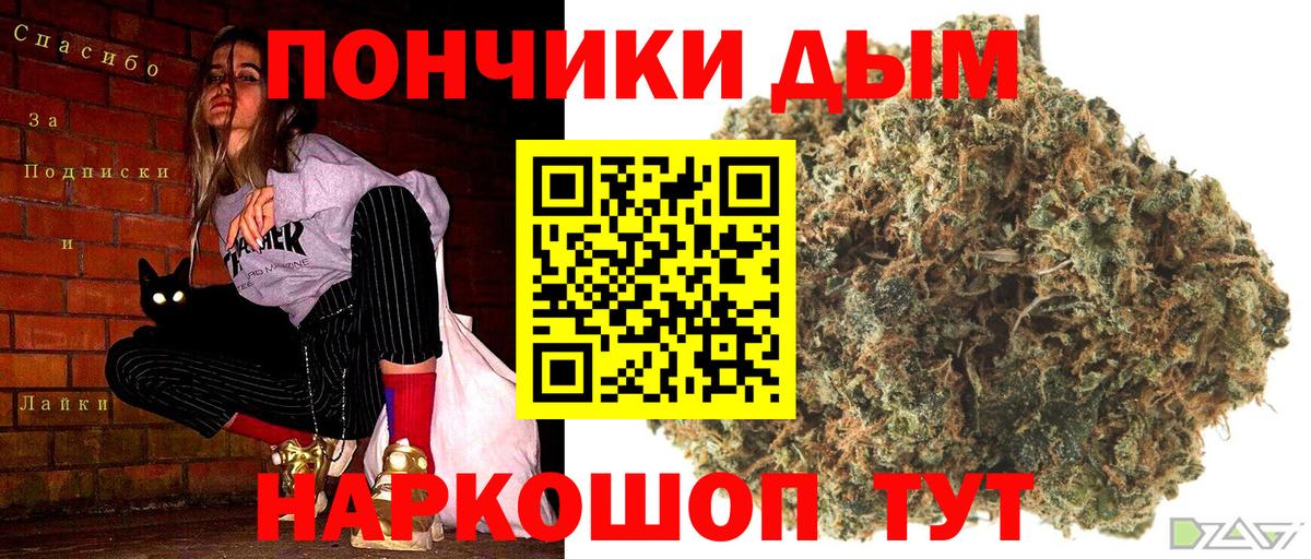 Бошки марихуана ГИДРОПОН  Вход с VPN  Шелехов  Каннабис Amnesia  Марихуана индика 